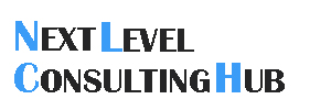 Next Level Consulting Hub